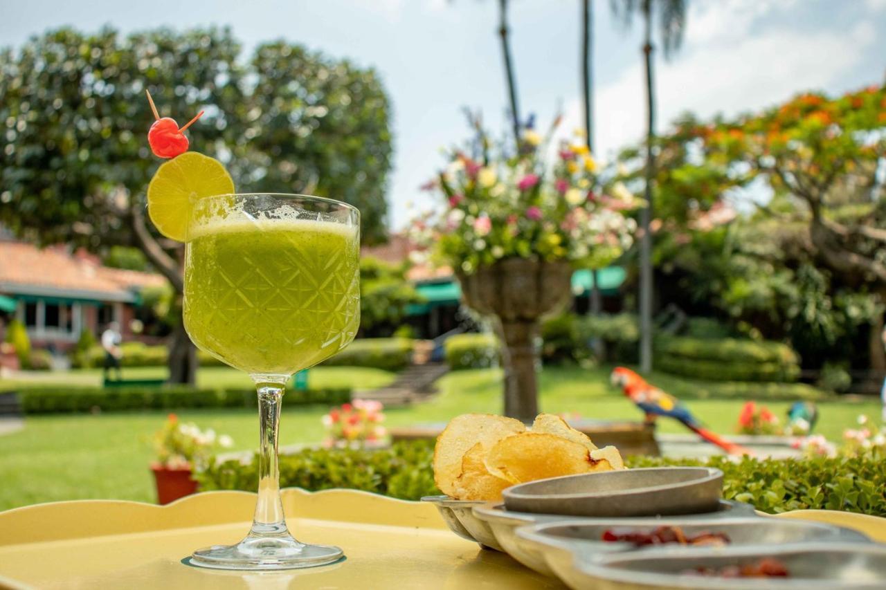 Las Mananitas Cuernavaca Ngoại thất bức ảnh