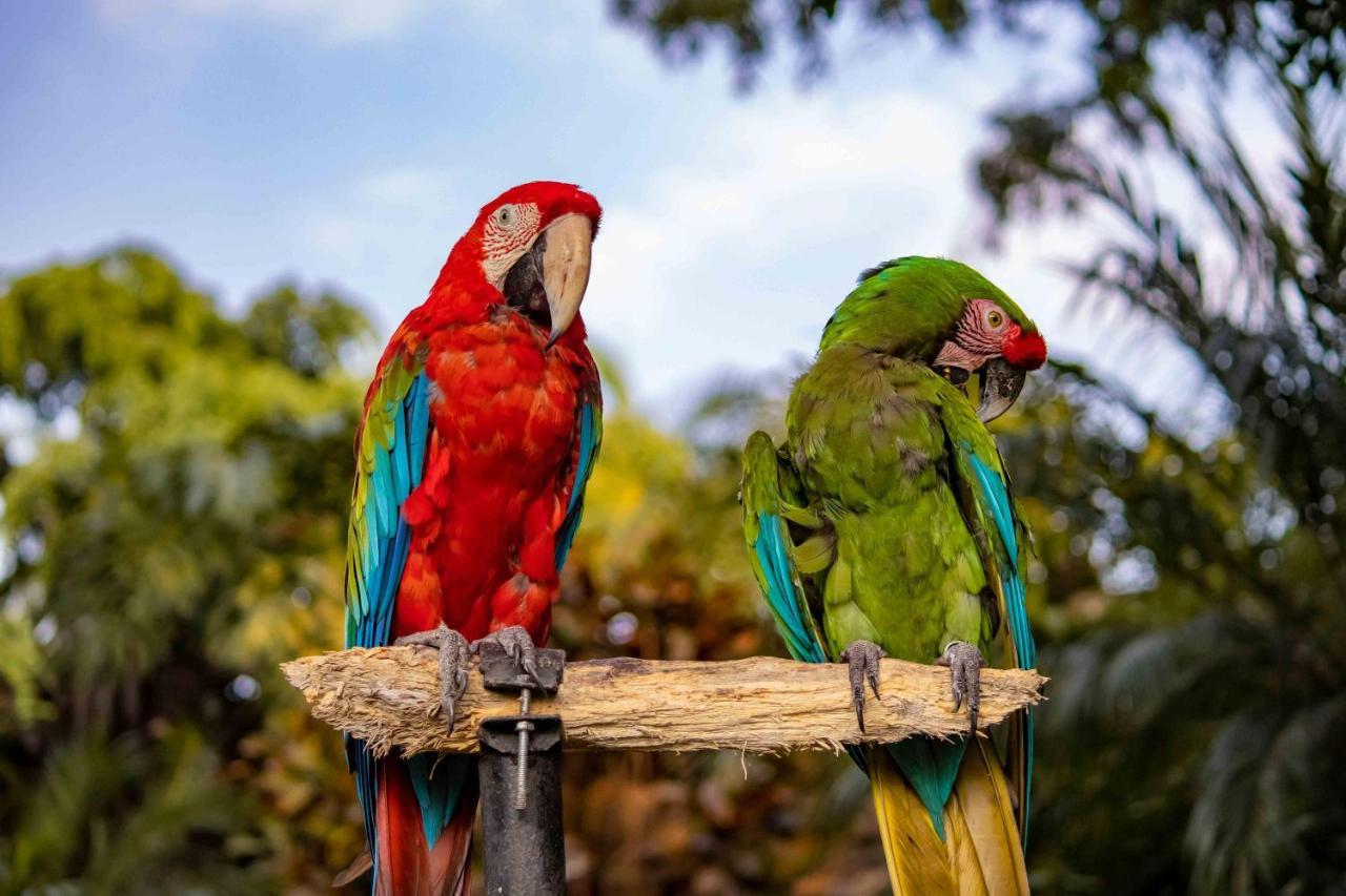 Las Mananitas Cuernavaca Ngoại thất bức ảnh