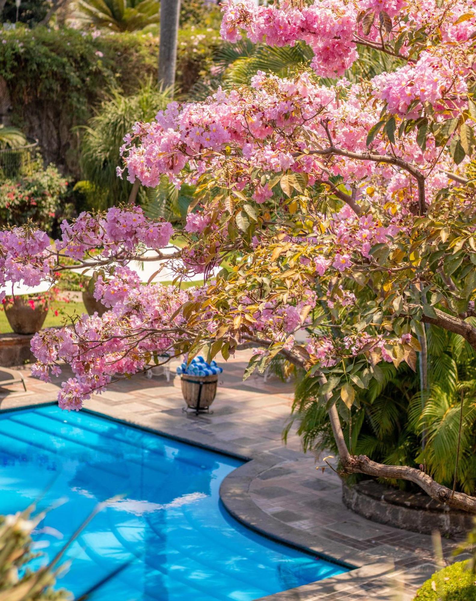 Las Mananitas Cuernavaca Ngoại thất bức ảnh
